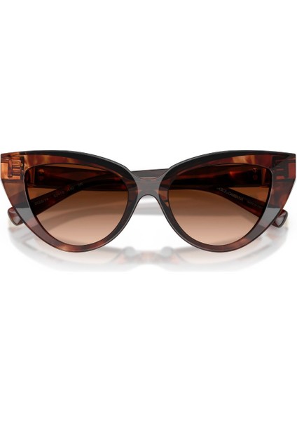 0 DG 4497 322274 52 Kadın Güneş Gözlüğü fırsatları