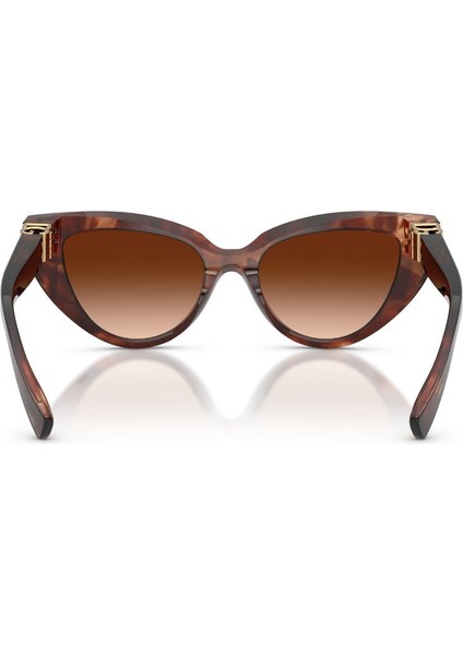 0 DG 4497 322274 52 Kadın Güneş Gözlüğü indirimleri