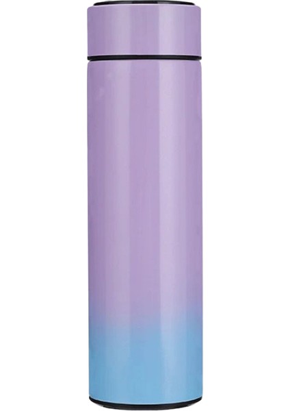 1 Adet 500ML Siyah Paslanmaz Çelik Yaratıcı Akıllı Termos Şişesi Sıcaklık Göstergesi Termos Bardak Erkekler ve Kadınlar Taşınabilir (Yurt Dışından)