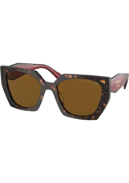 PR/S 15WS 2AU5Y1 54 Kadın Güneş Gözlüğü