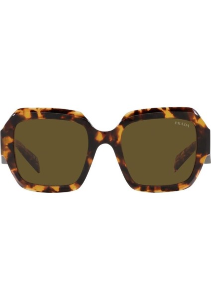 0PR 28ZS 14L09Z 53 Kadın Güneş Gözlüğü fiyatları