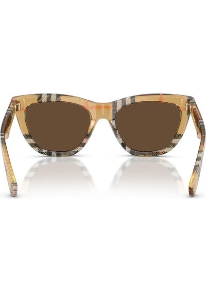 0BE 4435 414673 53 Kadın Güneş Gözlüğü modelleri