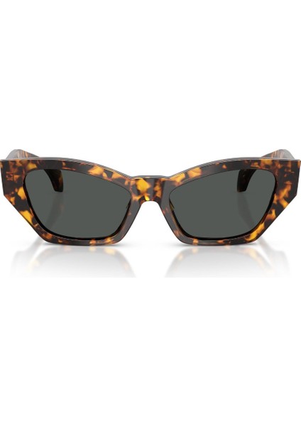 Güneş Gözlüğü VE4488U 53 551487