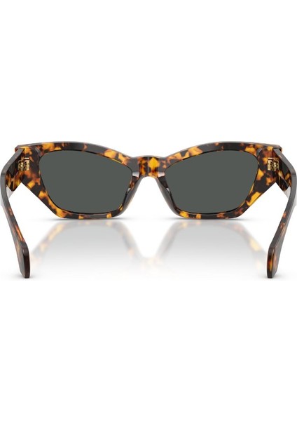 Güneş Gözlüğü VE4488U 53 551487
