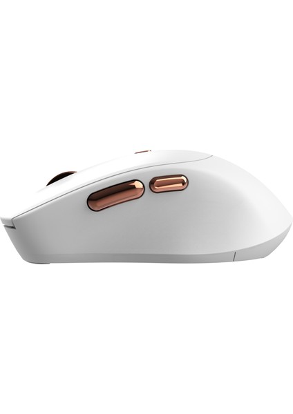 IWM-244R 2.4ghz Kablosuz Optik Mouse | Ergonomik Tasarım, Sessiz Tuşlar, 6d Fonksiyon | 800-1600 Dpı Ayarlanabilir Çözünürlük | Tak-Çalıştır Nano Alıcı | Windows & Mac Os Uyumlu fiyatları