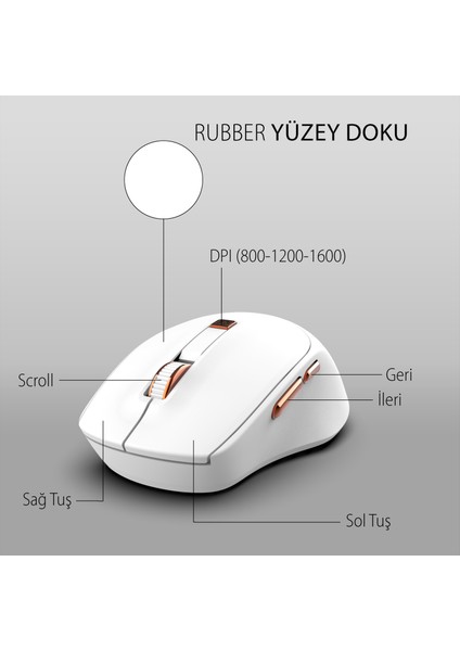 IWM-244R 2.4ghz Kablosuz Optik Mouse | Ergonomik Tasarım, Sessiz Tuşlar, 6d Fonksiyon | 800-1600 Dpı Ayarlanabilir Çözünürlük | Tak-Çalıştır Nano Alıcı | Windows & Mac Os Uyumlu fırsatları