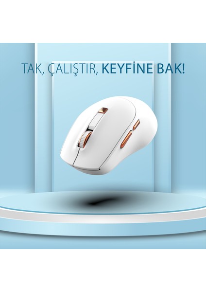 IWM-244R 2.4ghz Kablosuz Optik Mouse | Ergonomik Tasarım, Sessiz Tuşlar, 6d Fonksiyon | 800-1600 Dpı Ayarlanabilir Çözünürlük | Tak-Çalıştır Nano Alıcı | Windows & Mac Os Uyumlu