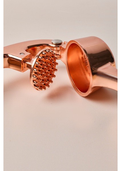 Besty Rose Sarımsak Ezici fiyatları