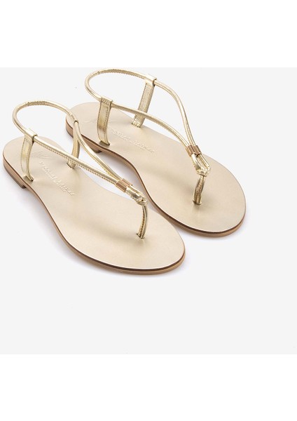 Nıcolas Laınas Kadın Sandalet 53GM modelleri