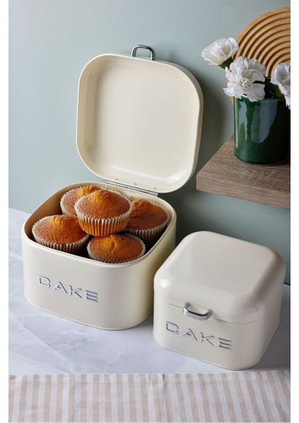 Plus 2 Boy Kek Saklama Kutusu fiyatları