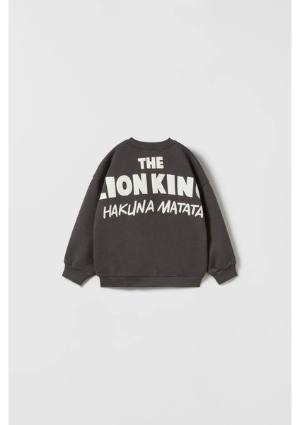 Lion King Takım modelleri