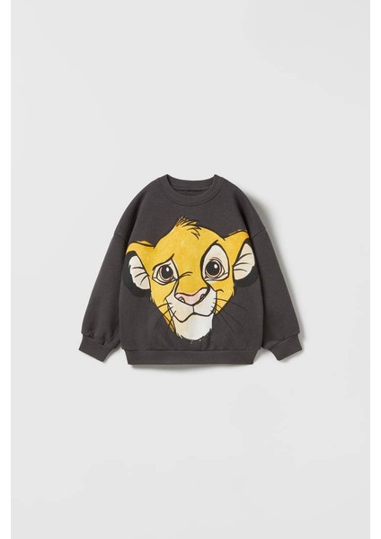 Lion King Takım indirimleri