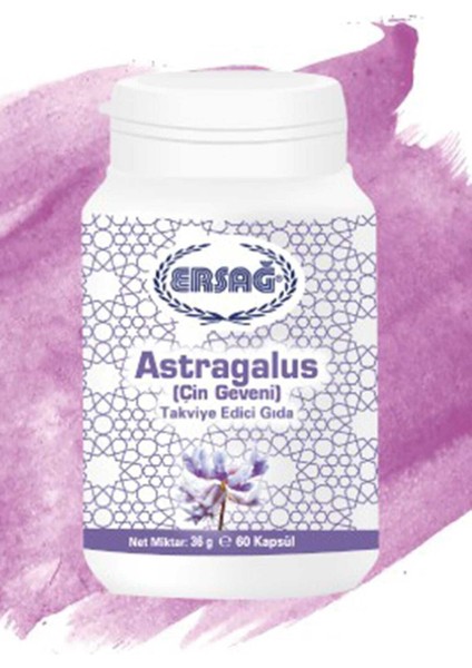 Astragalus (Çin Geveni)