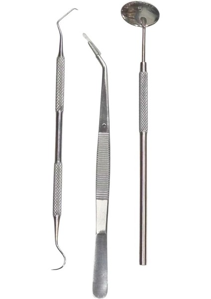 Eğitim Dişçi Dikiş Seti -2 Çantalı Seyahat Diş Hekimi Öğrenci Asistan Seti 3lü Dental Set Çene Modeli 3lü Dikiş El Aleti 3/0 Yuvarlak Iğne Iplik Okul Eğitim Seti modelleri