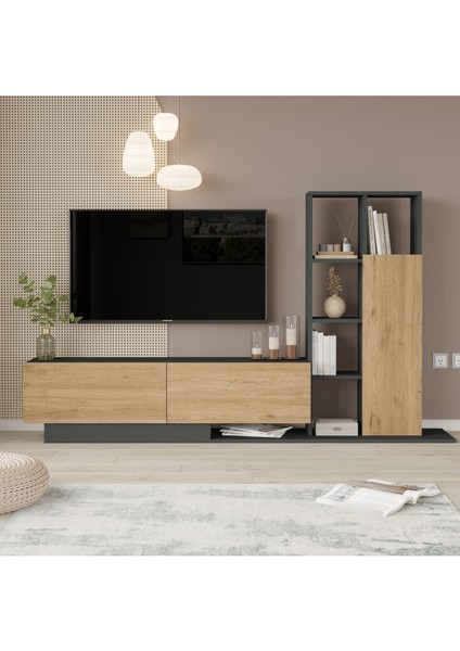 Blaze Tv Ünitesi Kapaklı Kitaplık Raf Sepet-Antrasit Be1-Sa