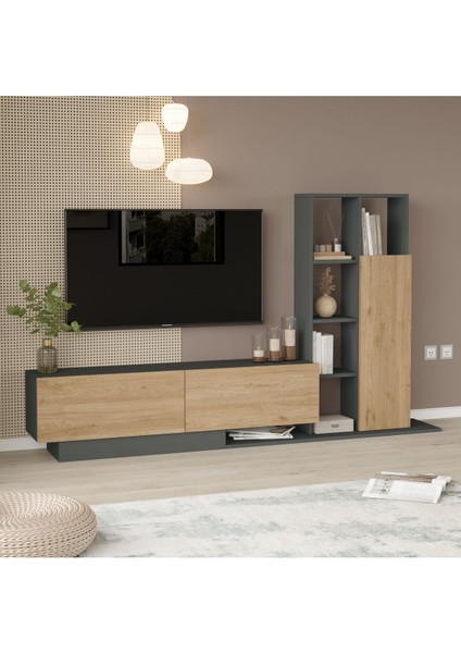 Blaze Tv Ünitesi Kapaklı Kitaplık Raf Sepet-Antrasit Be1-Sa fiyatları