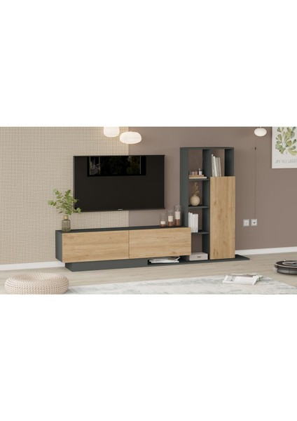 Blaze Tv Ünitesi Kapaklı Kitaplık Raf Sepet-Antrasit Be1-Sa modelleri