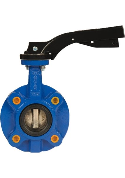 Kelebek Vana Pasl Lug Kv4 DN100