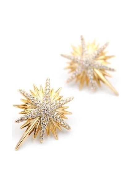 Kuzey Yıldızı Küpe - Rose