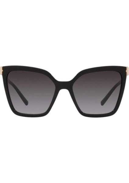 0BV8253 501/8G 56 Kadın Güneş Gözlüğü fiyatları