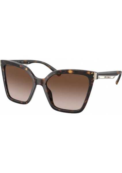 0BV8253 504/13 56 Kadın Güneş Gözlüğü