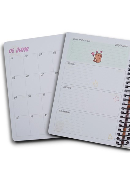 Capybara A5 120 Yaprak Sert Kapak Spiralli Planner Defter (7826) modelleri
