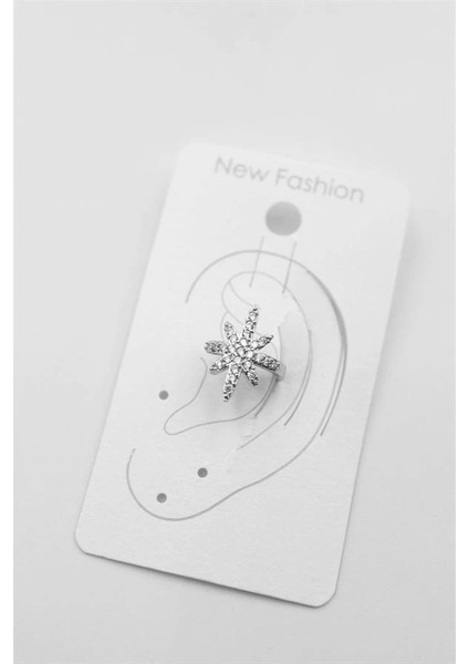 Kutup Yıldızı Kıkırdak Küpe - Gümüş fiyatları