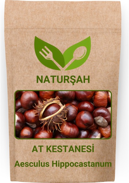 At Kestanesi / Aesculus Hippocastanum - Tüketilmez 100 gr