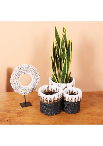 Mylamp Nevşehir Doğal Abaka 3 Lü Set Saksılık & Saklama Düzenleme