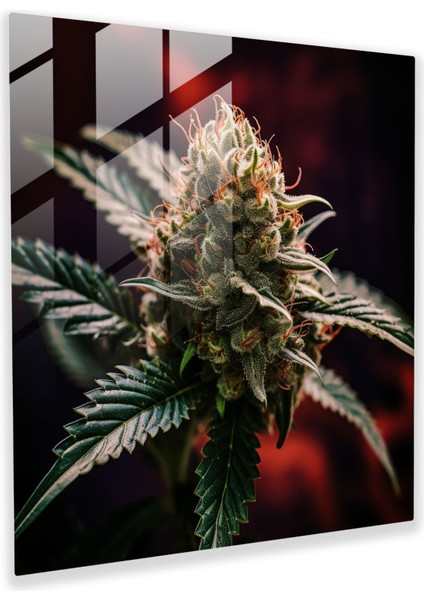 Gerçekçi Çiçek Tomurcuğu Cam Tablosu - Bitki Cam Duvar Sanatı Modern Sanat Ev Dekorasyonu