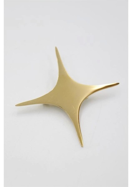 Çelik Yıldız Broş - Altın