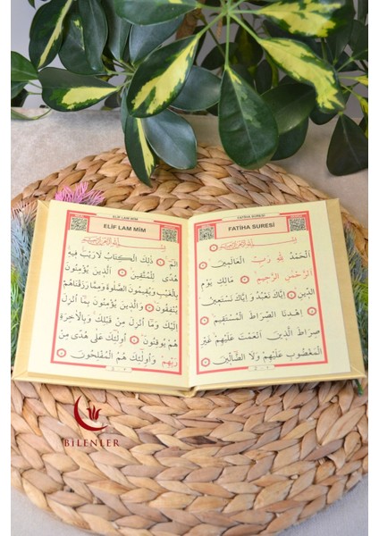 Yasin Kitabı Termoderi Kaplı-Arapça Türkçe Okunuşlu ve Mealli–mevlid ve Bebek Hediyeliğii (1 Adet) modelleri