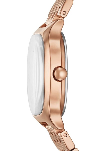 SKW3166 Kadın Kol Saati fiyatları