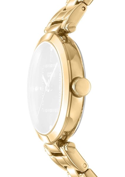 DK1L092M0065 Kadın Kol Saati fiyatları