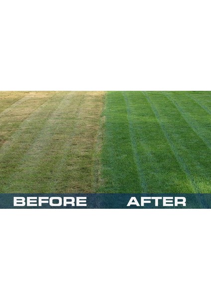 Çim Boyası 1 litre fırsatları