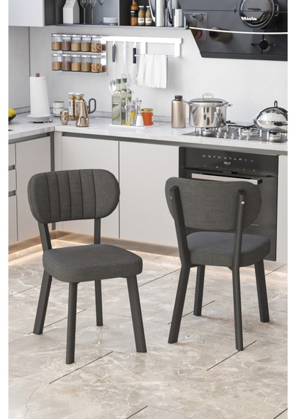 Parla Mutfak Sandalyesi Yemek Odası Bahçe Balkon Otel Restoran Kafe Sandalyesi - 2 Adet - Antrasit