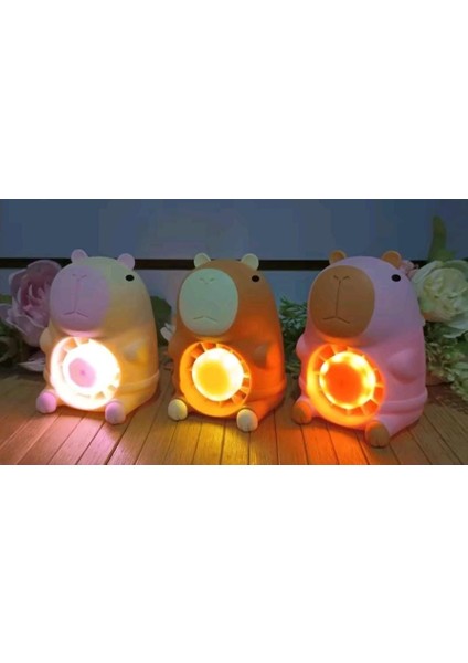 Masaüstü Şarzlı Özel Figürlü Pembe Renk Işıklı Fan fiyatları