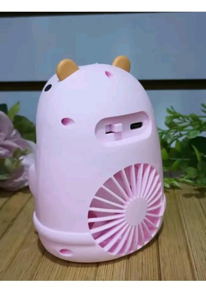 Masaüstü Şarzlı Özel Figürlü Pembe Renk Işıklı Fan modelleri