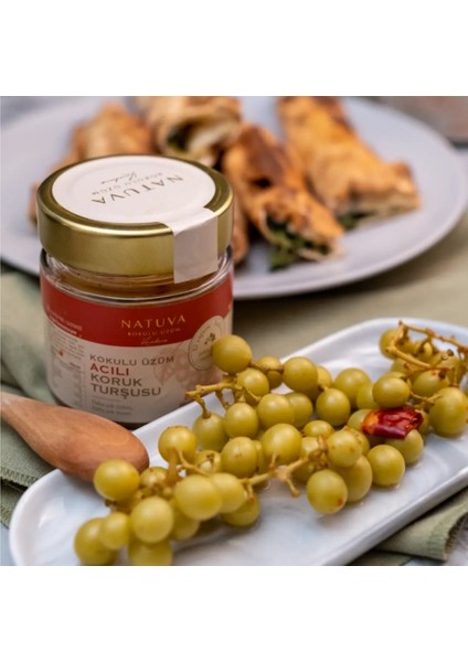 Acılı Koruk Turşusu 250 G fiyatları
