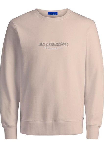 Erkek Bisiklet Yaka Sweatshirt 12266942 fiyatları