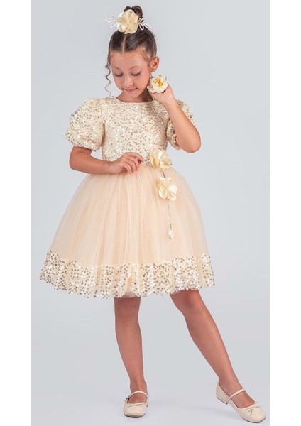 Kız Çocuk Etek Ucu Pullu Venna Abiye Elbise M00761