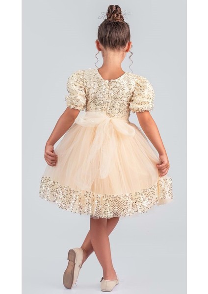 Kız Çocuk Etek Ucu Pullu Venna Abiye Elbise M00761 fırsatları