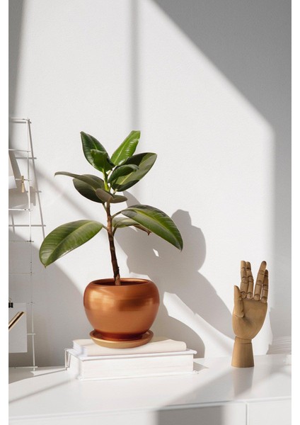 Tabaklı Bronz Tombul Çömlek Saksı 16X15 cm