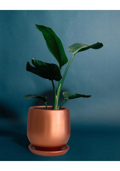 Tabaklı Armut Bronz Çömlek Saksı 24X20 cm