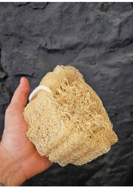 Doğal Kabak Lifi Bulaşık Süngeri Banyo Kesesi Loofah Sponge Ipli Kabak Kesesi Kalın Büyük Parça