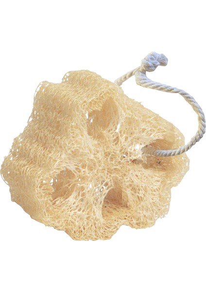 Doğal Kabak Lifi Bulaşık Süngeri Banyo Kesesi Loofah Sponge Ipli Kabak Kesesi Kalın Büyük Parça fiyatları