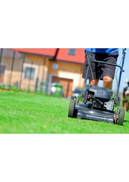 Lawn Art VILLA MIX Çim tohumu karışımı 10 kg modelleri