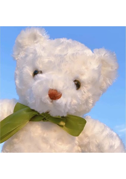 Sekiz Inç Peluş Oyuncaklar 25CM Kapmak Bebek Sevimli Bebek Doğum Günü Hediyesi Düğün Atmak Bebekler (Yurt Dışından)
