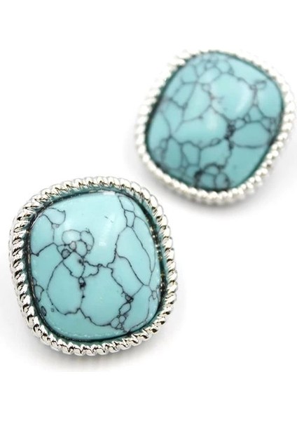 Turkauz Taşlı Küpe - Gümüş fiyatları