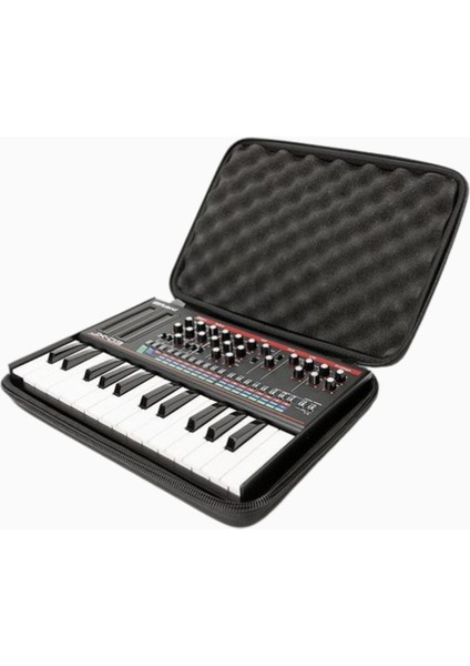 Ctrl Kasa Butik Anahtarı, Roland Boutique K-25M Klavye, Dayanıklı & Hafif fiyatları